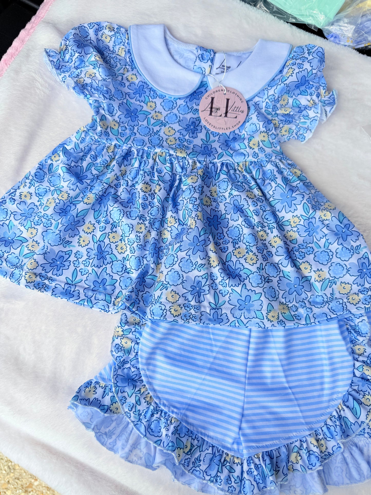 Blue and Yellow Collared Girl Collection