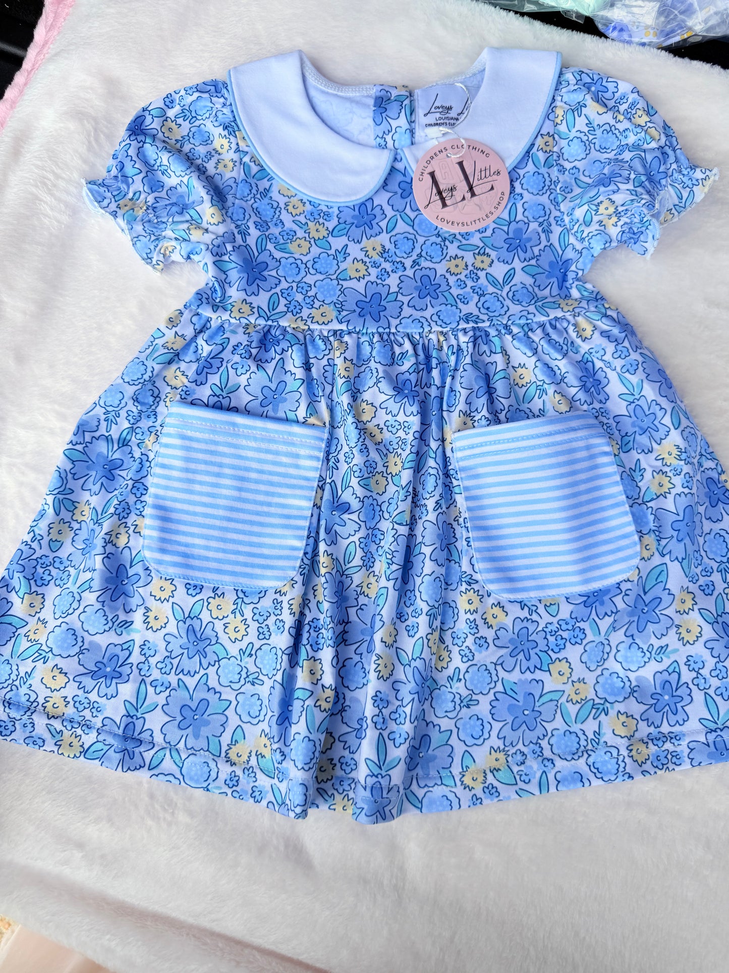 Blue and Yellow Collared Girl Collection