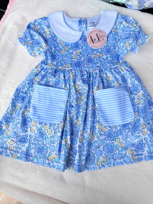 Blue and Yellow Collared Girl Collection