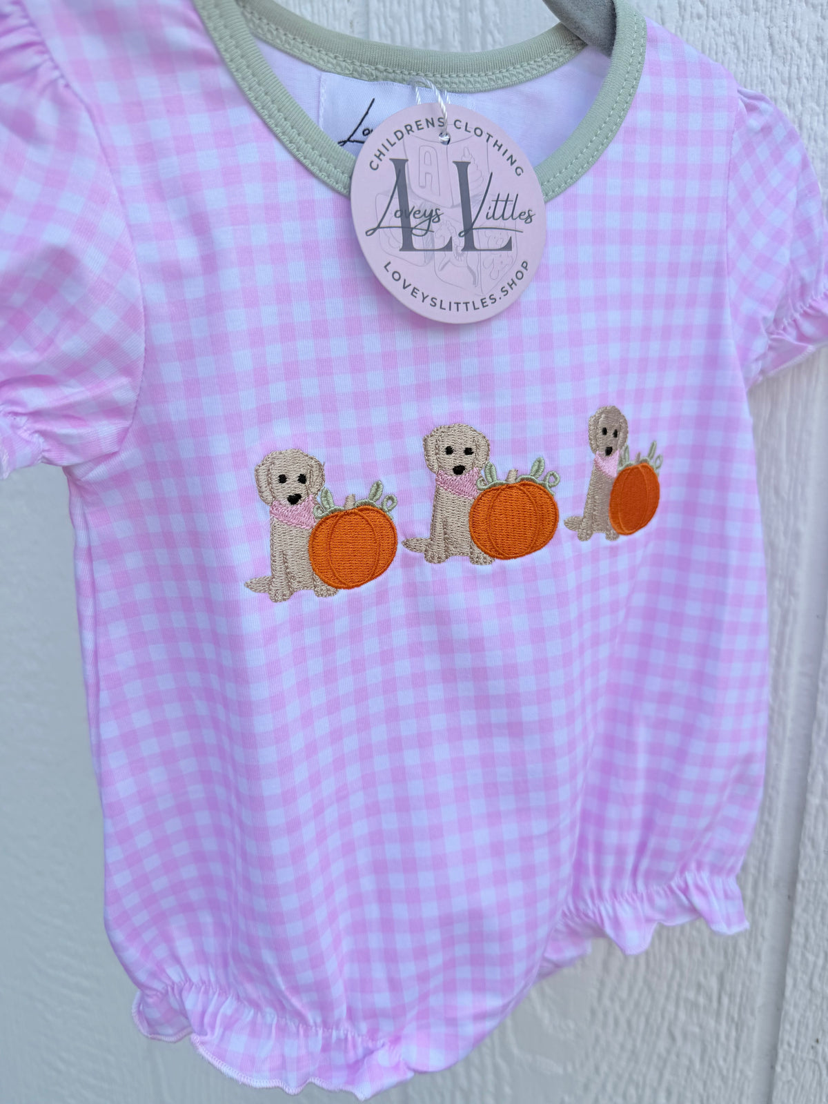Gingham Dog Pumpkin Collection