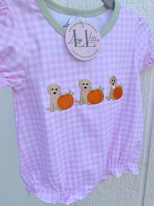 Gingham Dog Pumpkin Collection