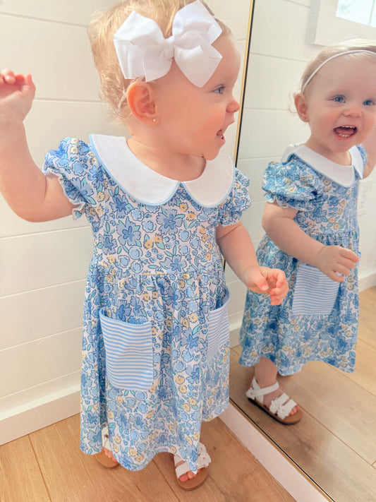 Blue and Yellow Collared Girl Collection