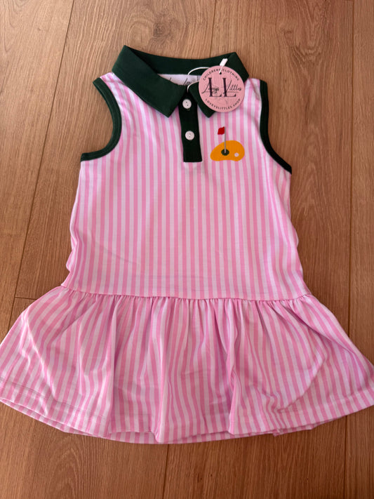 Pink Stripe Master Dress