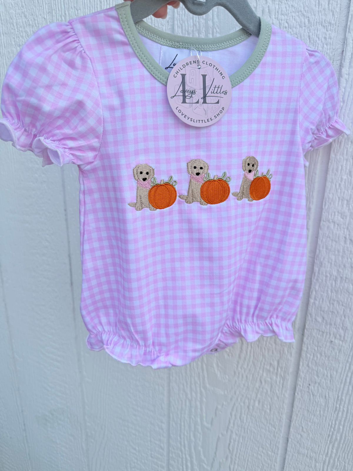 Gingham Dog Pumpkin Collection