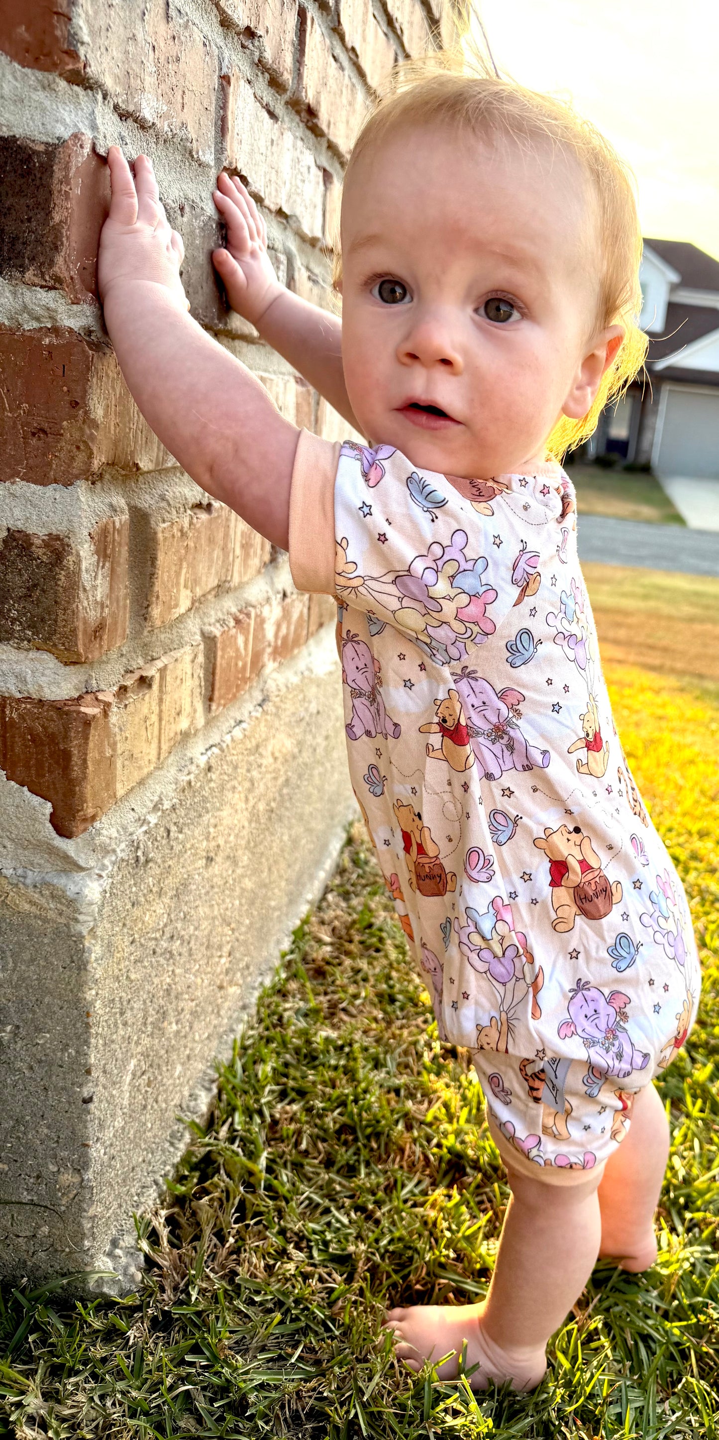 Honey Bear - MAGIC BAMBOO