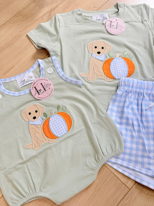 Puppy & Pumpkin Collection