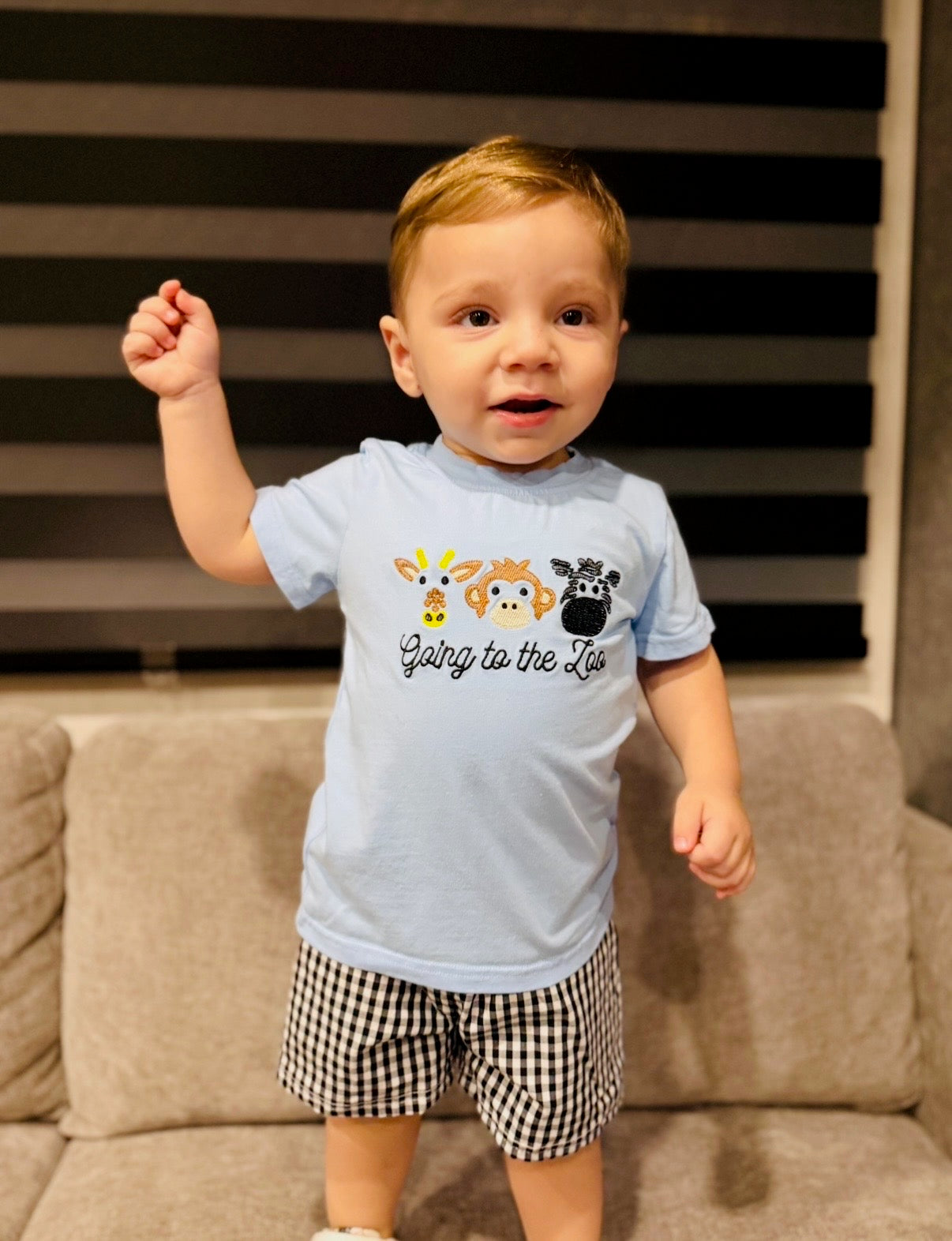 Going to the Zoo Collection