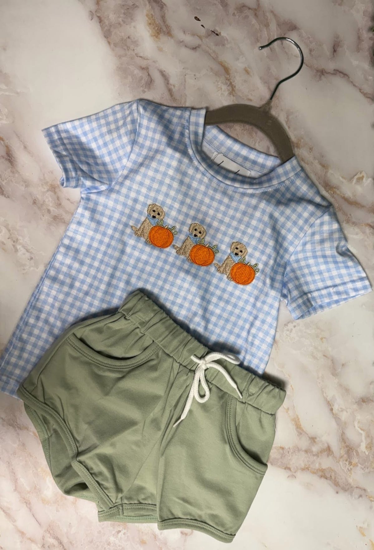 Gingham Dog Pumpkin Collection